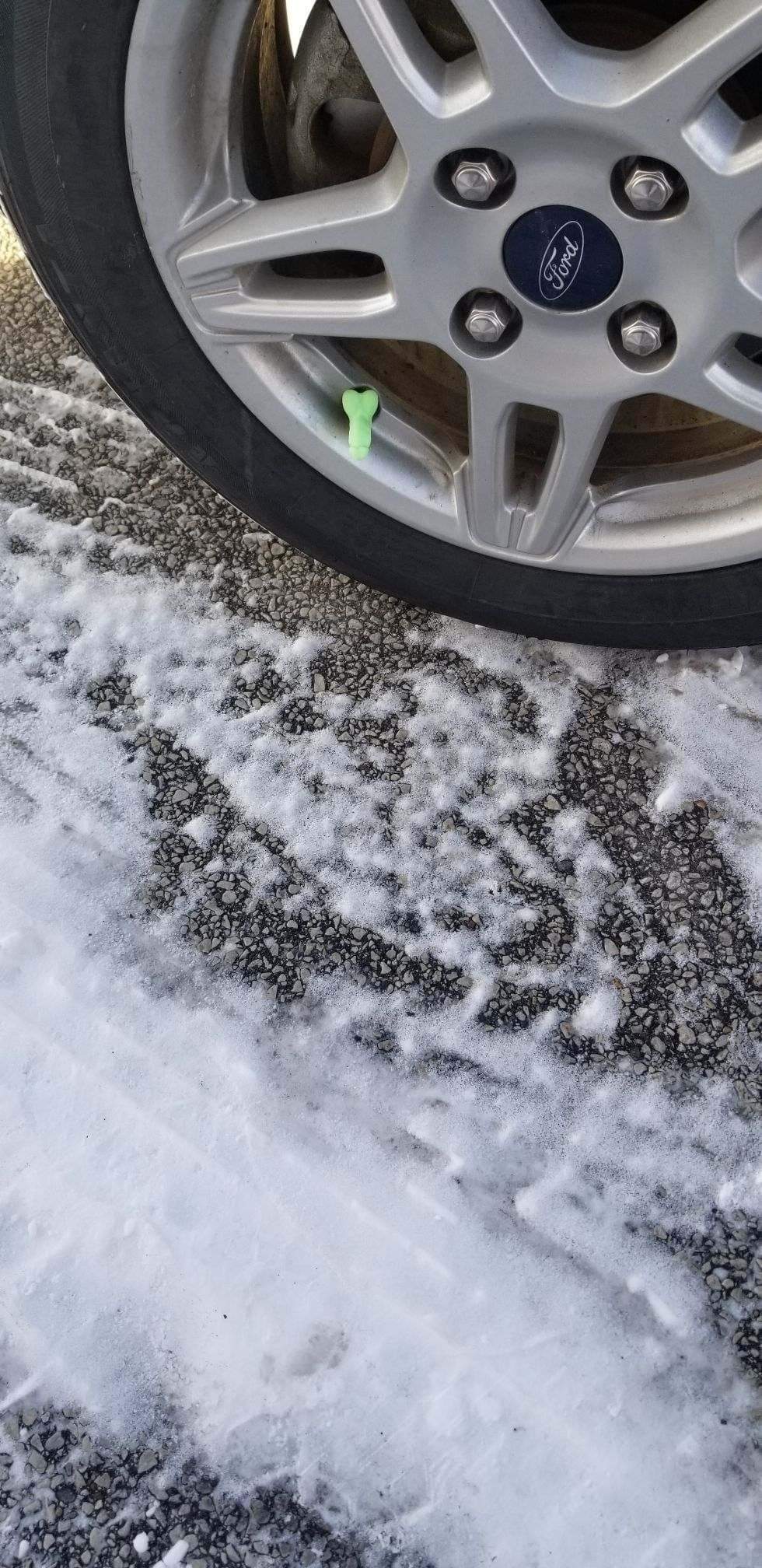 Valve Stem Covers penis set of 4