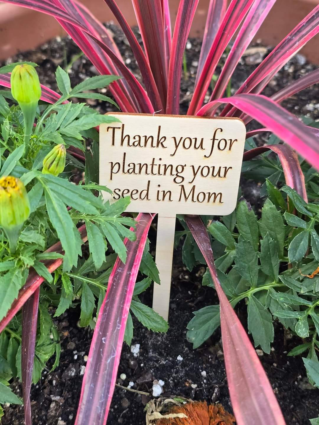 Thank you for planting your seed in Mom plant stake