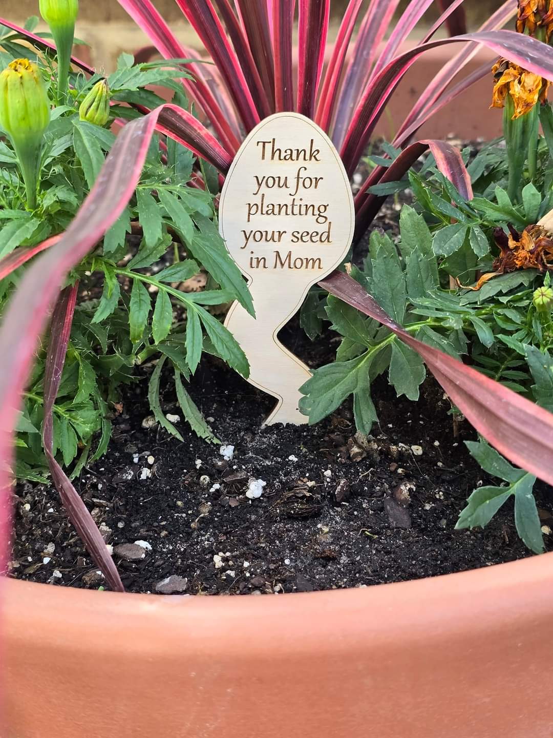 Thank you for planting your seed in Mom plant stake
