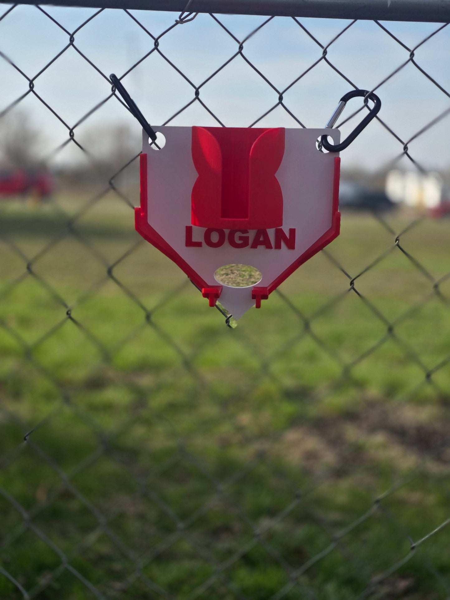 3D printed Dugout organizer baseball softball Personalized with name