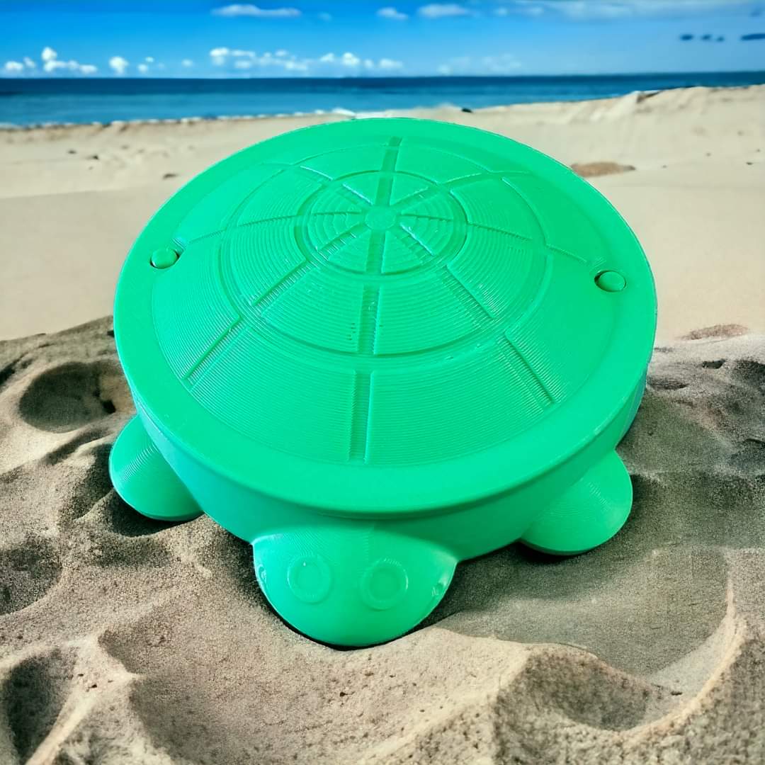 Turtle 3D printed