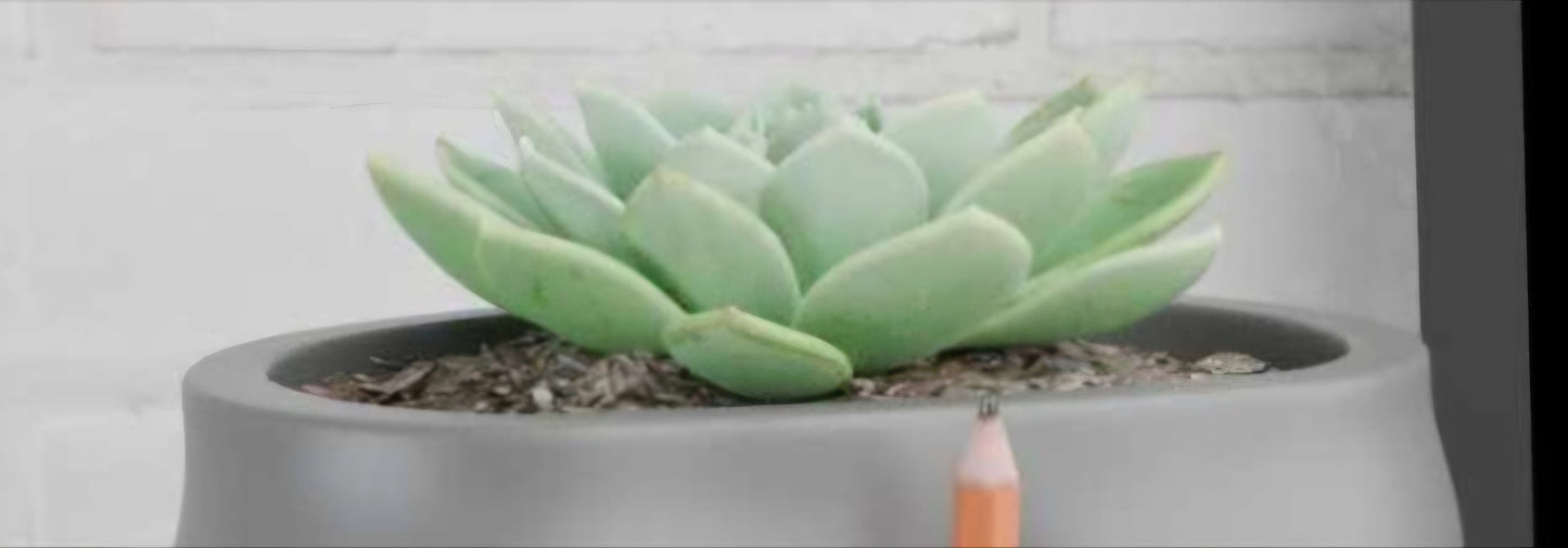 Pen holder butt 3D printed longer TAT