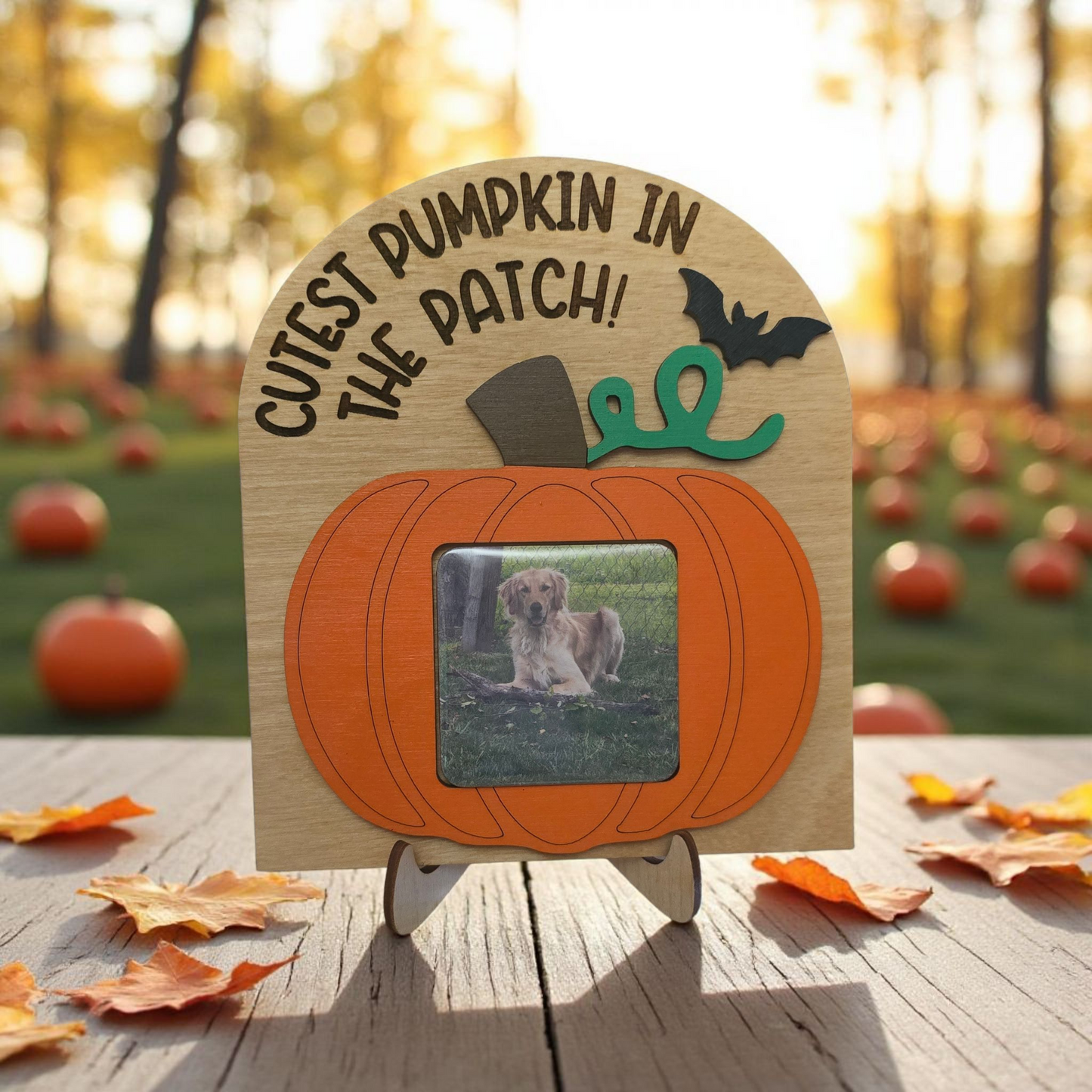 Cutest pumpkin in the patch with picture upload