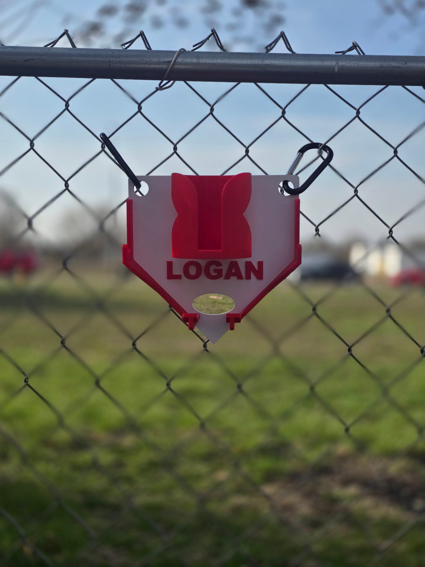 3D printed Dugout organizer baseball softball Personalized with name