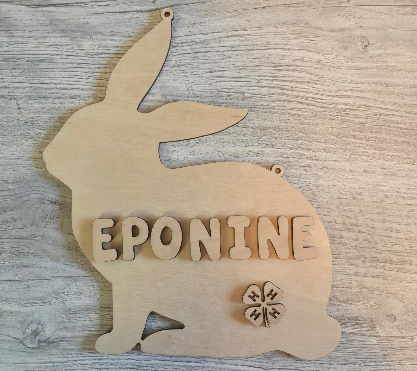 4H Animals personalized