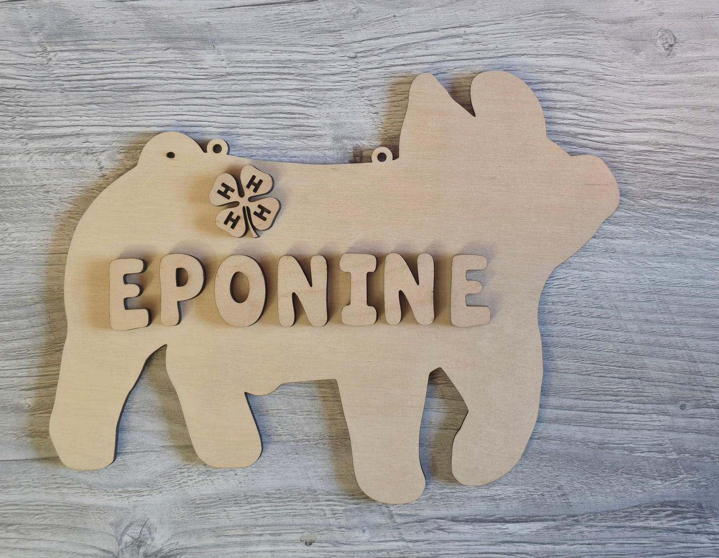 4H Animals personalized