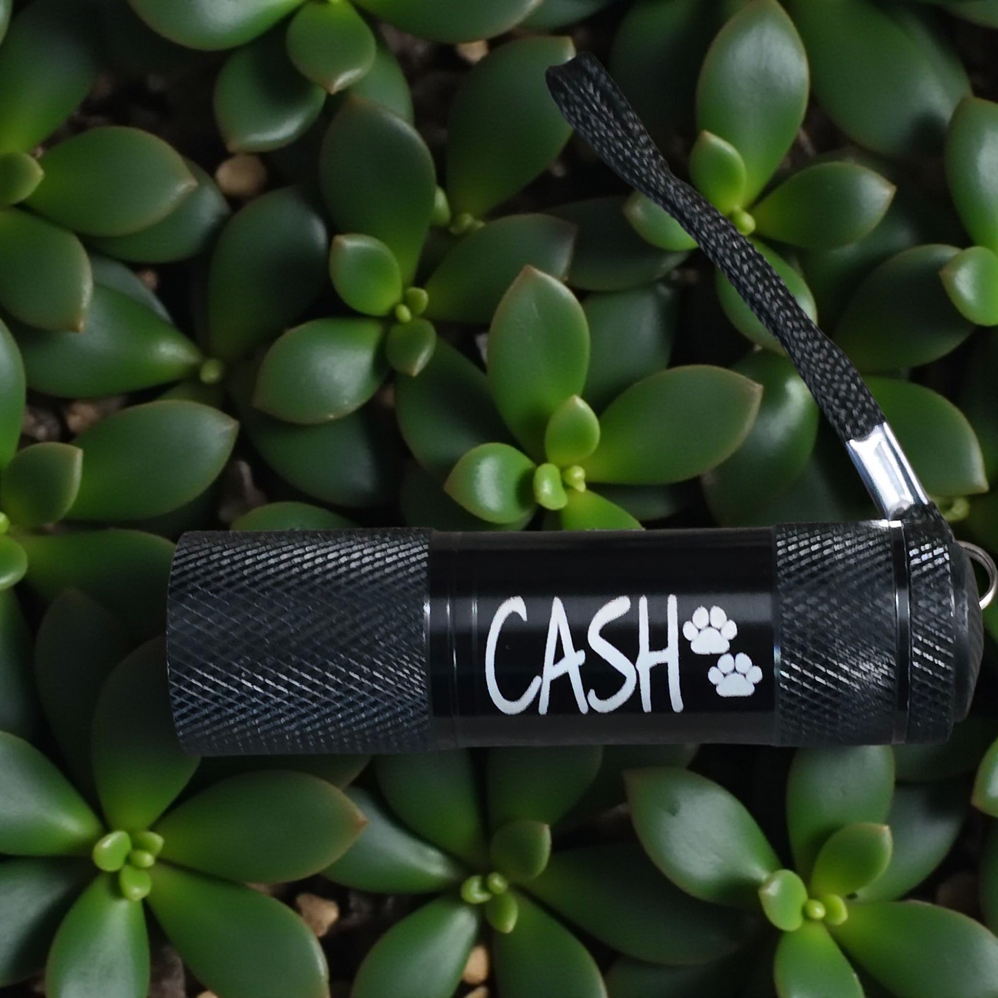 Mini Flashlight  NO BATTERIES!! Personalized