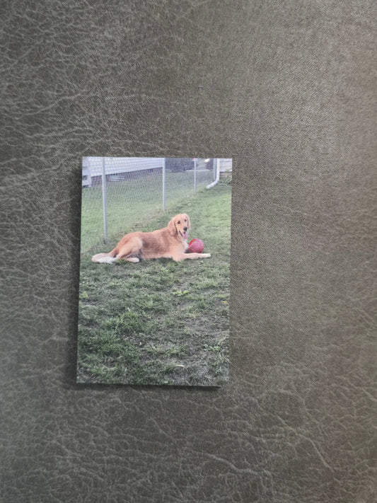 UV printed upload your pictures rectangle Magnets
