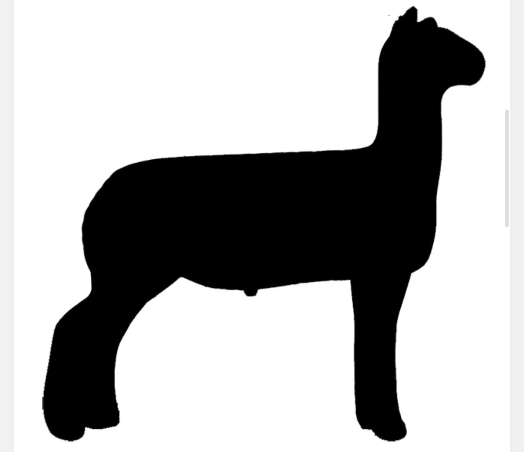 Chicken Wire Farm Animal Christmas Ornament