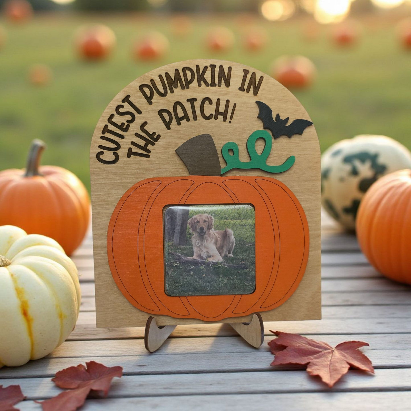 Cutest pumpkin in the patch with picture upload